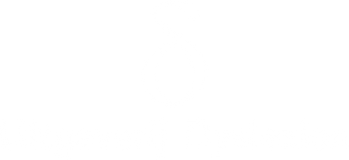 Uitgeverij Dyslexion logo
